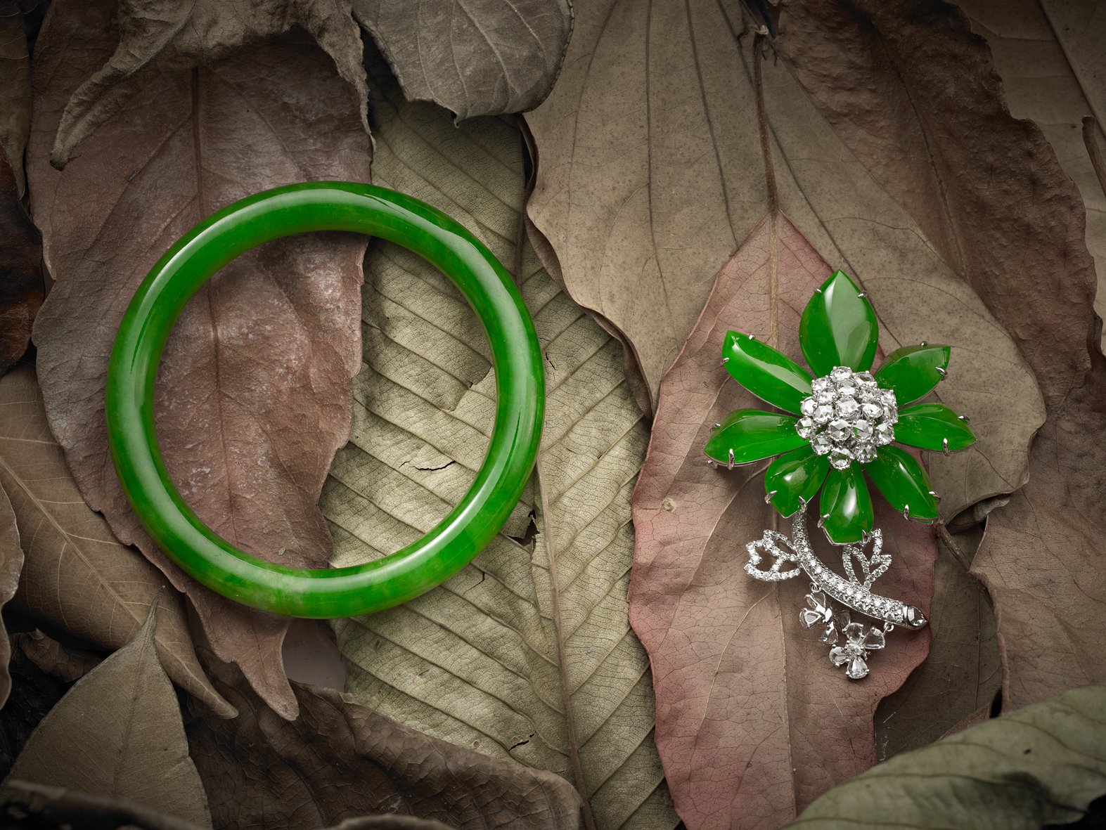 Jade Bangle and Brooch